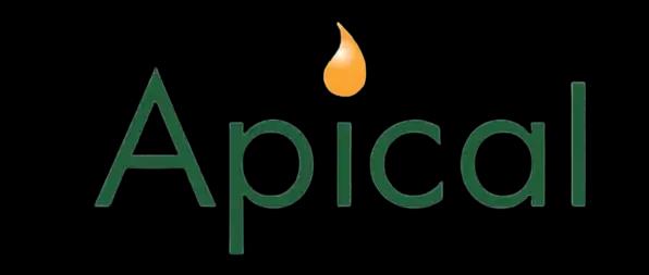 Apical