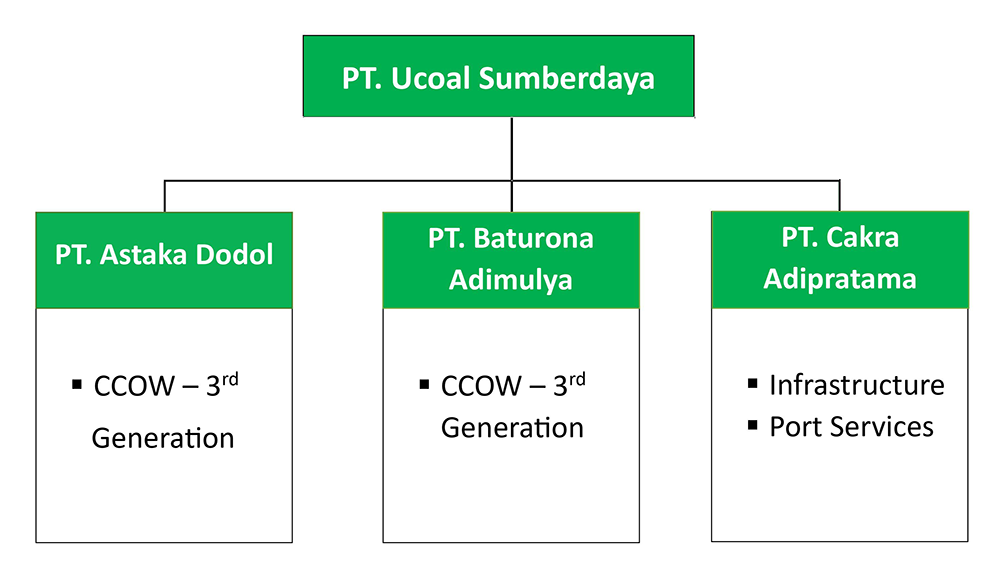Company Structure